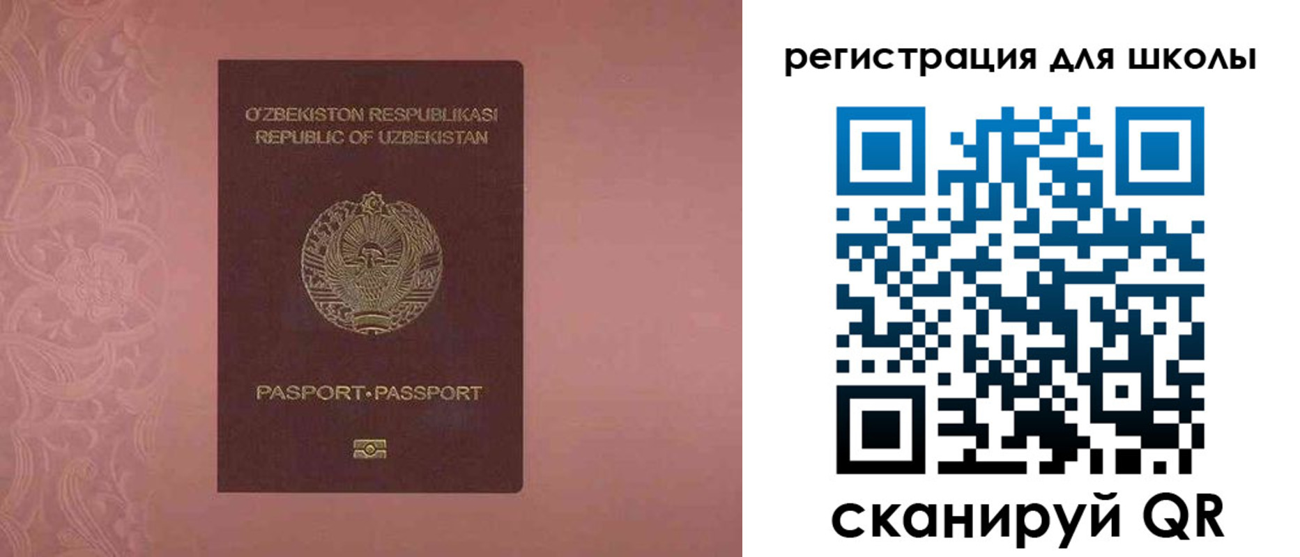 прописка для школы в Балашове